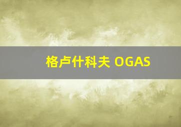 格卢什科夫 OGAS